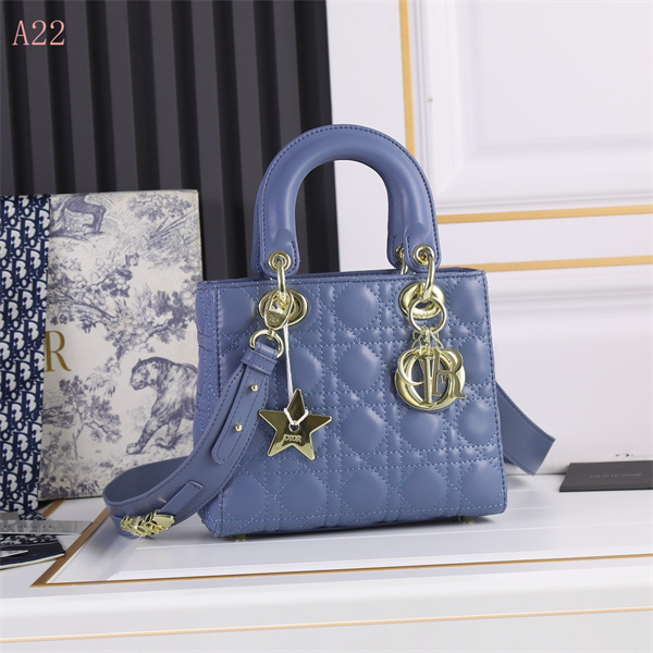 Dior Bags AAA 098